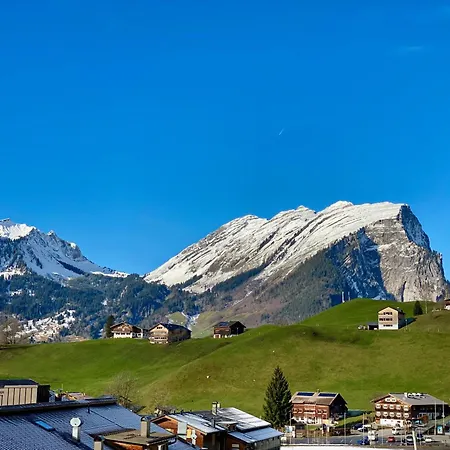 Holderstauden * 쇼페나우