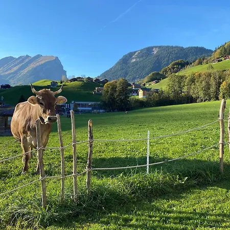 Holderstauden * Schoppernau